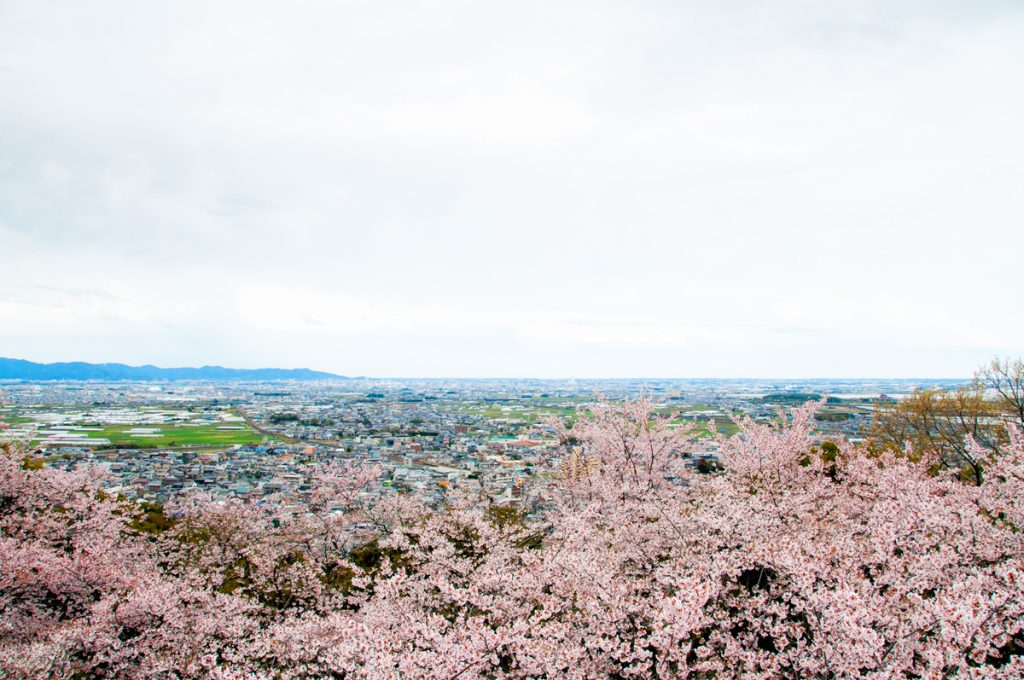 豊川市御津山からの風景