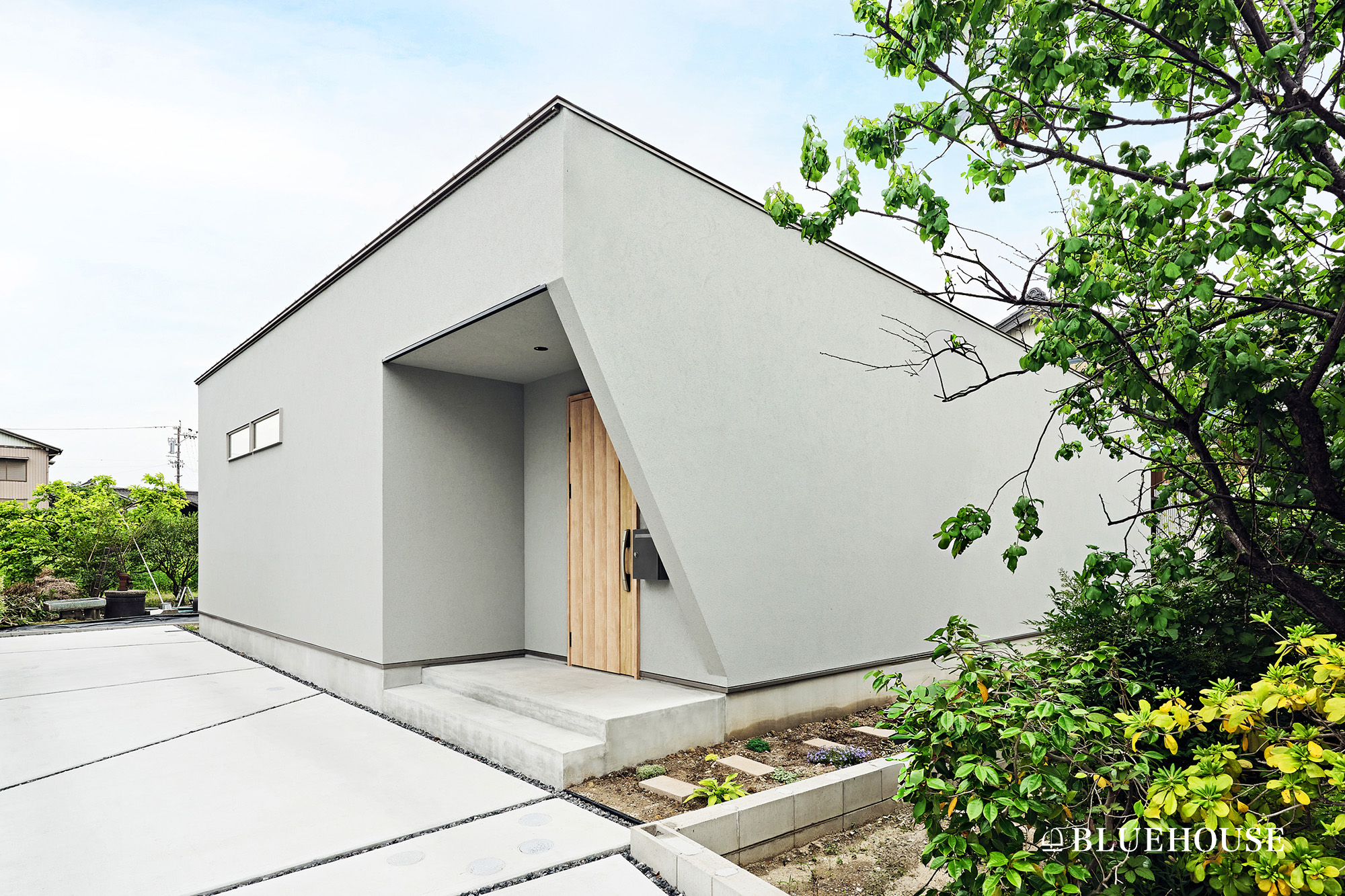 木と光が奏でるナチュラルな平屋